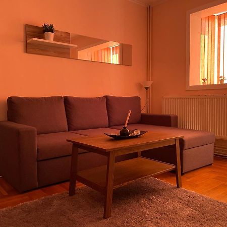 Soho Apartment Fagaras - 1 Bedroom & Extensible Couch المظهر الخارجي الصورة
