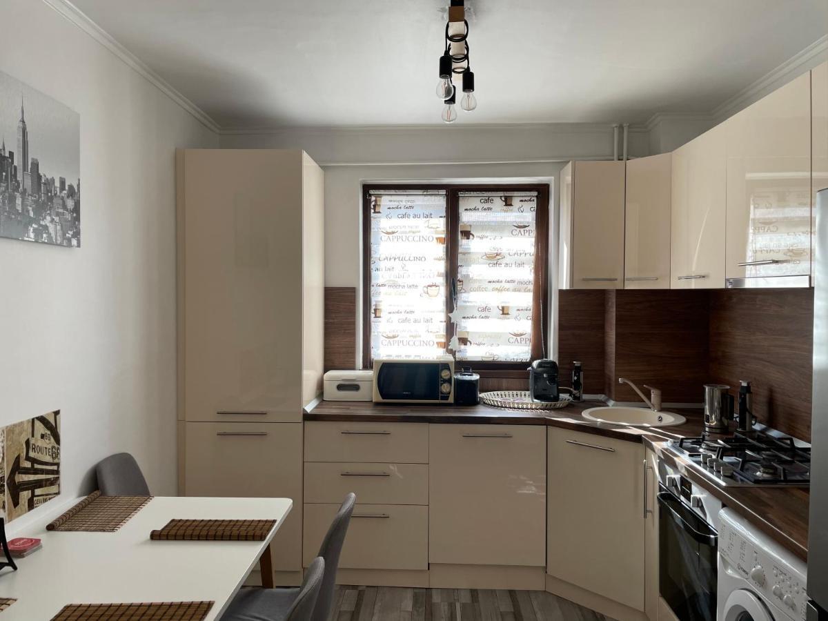 Soho Apartment Fagaras - 1 Bedroom & Extensible Couch المظهر الخارجي الصورة