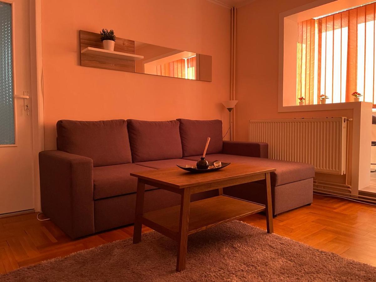 Soho Apartment Fagaras - 1 Bedroom & Extensible Couch المظهر الخارجي الصورة